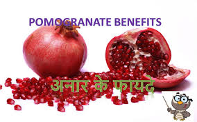 Image result for anar image
