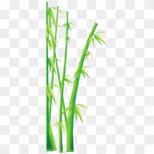 Bamboo Png Transparent For Free Download Pngfind
