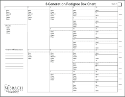 12 valid four generation family tree pedigree chart