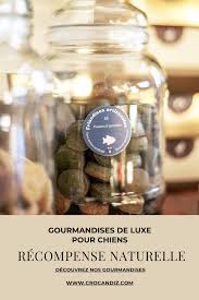 Recompense Naturelle Biscuits Pour Chiens Artisanal Biscuits