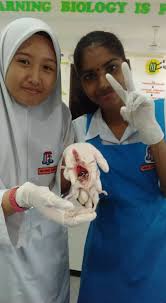 Huraian sukatan pelajaran biologi tingkatan 4 may 31, 2013. Eksperimen Biologi Pelajar Laman Rasmi Smk P Bukit Kuda Facebook