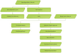 The Flow Chart Of Network Analysis Download Scientific