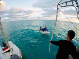 We did not find results for: Sailing Vesper Fish Tacos