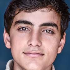 Watch The Hardy Boys (2020) TV Series Online