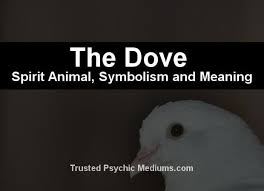 The Dove Spirit Animal A Complete Guide To Meaning And Symbolism Spirit Animal Animal Totem Spirit Guides Spirit Animal Meaning
