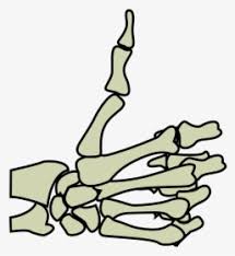Check spelling or type a new query. Thumb Up Mickey S Hand Mickey Mouse Thumbs Up Hd Png Download Kindpng