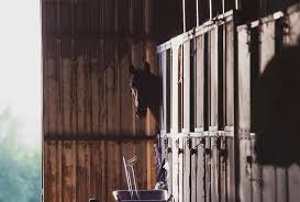 Bien sauf que l'ancêtre du cheval s'appelle equus caballus, equus venant de cheval lourd ou de trait qui travailler dans les champs et caballus venant. Non Classe Archives La Rubrique Materiel D Equiswap