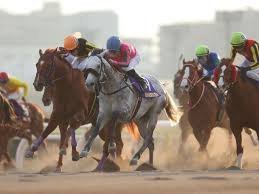 Hái zǎo ne, wǒ yào zài gēn dīng yún tántan. 3mt96haivn1g8m