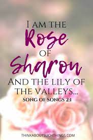Check spelling or type a new query. 25 Interesting Bible Verses About Flowers Think About Such Things