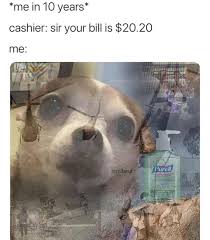 You Are In The Right Place About Funny Imagenes Here We Offer You The Most Beautiful Pictures Abou Funny Relatable Memes Funny Animal Memes Funny Memes