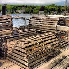 In the lobster trap business! 32 Lobster Traps Ideas Lobster Trap Lobster Traps