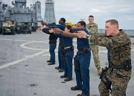 11,664 Amphibious Dock Landing Ship Image: PICRYL