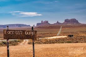 Easy rider and forrest gump are two familiar movies with scenes that were shot in the valley. Forrest Gump Hill Monument Valley Utah Photograph By Wayne Moran