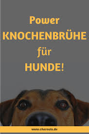 Power Knochenbruhe Fur Hunde Charoula De Gesund Und Lecker Hunde Ernahrung Knochenbruhe Hunde