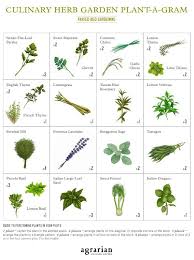 Culinary Herb Garden Vegetable Garden Planning Raised Herb Garden Lawn And Garden