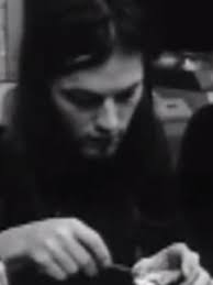 O Darling Trili Frili Pink Floyd