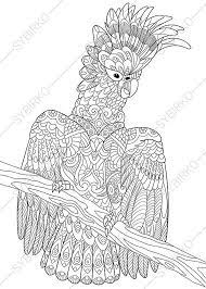 Bird, with complex and beautiful patterns. Pin On Arts And Craft
