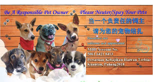 Tay & chua, kuantan, pahang, malaisia. Kare Kuantan Animal Rescue Education Public Group Facebook