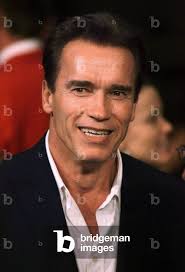 Image of ARNOLD SCHWARZENEGGER AT FIGHTS, 2001-11-17 (photo)