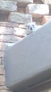 @AAAAAGGHHHH's video Tweet