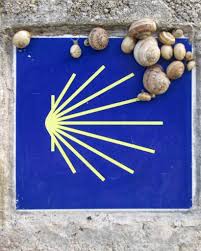 Walking the Camino de Santiago, A Photo Guide