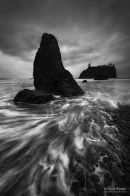 Black and white nature photography. 10 Tips For Creating Better Black White Nature Photographs Sarah Marino Ron Coscorrosa Photography