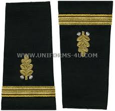 U.S. NAVY DENTAL CORPS SOFT EPAULETS