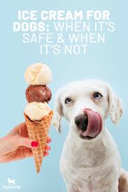 Ice Cream For Dogs When It S Safe And When It S Not In 2020 Dog Ice Cream Dog Food Recipes Eating Ice Cream