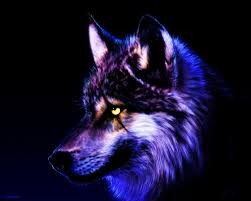 Schönes bild von einem hund im schnee, foto tiere im winter. Scared Wolf Wolf Wallpaper Wolf Background Wolf Spirit Animal