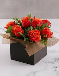 Check spelling or type a new query. Online Flower Delivery South Africa Hamperlicious