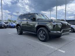 Image result for Nori Green 2024 LC