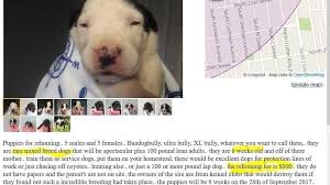 Craigslist provides local classifieds and forums for jobs, housing, for sale, services, local community, and events Petition Craigslist Stop Pet Sales On Your Site Change Org