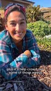 Garden Tips to Get Your Yard Ready for Spring