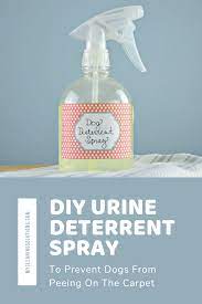 Spray To Deter Dogs From Peeing On Carpet Online