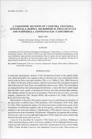 Image result for Schinziella