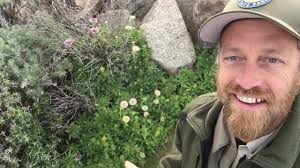 Seaside Daisy: Growing and Caring Tips for Australian Gardeners