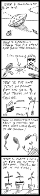 A Cartoon On Growing Peaches From Seed Organic Gardening Mother Earth News Peach Trees Fruit Trees Urban Garden