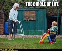 Wnd 3a4a273f43a64f49e86753dc270f8772 Jpg 500 409 Pixels Circle Of Life Funny P Funny Pictures
