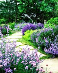 Fiori Flowers Paesaggio View Flower Garden Borders Beautiful Flowers Garden Gorgeous Gardens