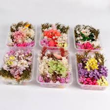 We did not find results for: Dry Flower Mix 1 Box Real Dried Flower Decor Artificial Flowers Wedding Decor Resin Pendant Necklace Jewelry Diy Accessories Artificial Dried Flowers Aliexpress