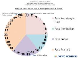 Kitaran haid pendidikan kesihatan tahun 5. Kiraan Kitaran Haid Yang Normal