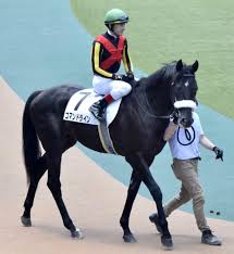 ライブラリ内のすべてのhdおよび4kの動画クリップも対象です。 4k00:12innovation online trading stock market resection business meeting brainstorm ideas financial project business man entreprener analyzing data success strategy 3dグラフとチャートのアニメーションred 8 k. æ±äº¬5r 2æ­³æ–°é¦¬ å…¥ç·šé€Ÿå ± 1ä½å…¥ç·š 7 ã‚³ãƒžãƒ³ ã‚³ãƒžãƒ³ãƒ‰ãƒ©ã‚¤ãƒ³ã®è©±é¡Œ 2021 6 5 åœŸ 12æ™‚é ƒ ãƒ„ã‚¤é€Ÿã‚¯ã‚ªãƒªãƒ†ã‚£ Twitter