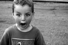 Melissa Carlson Photography