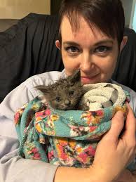 Truth! I already serve one cat. Now I get to serve two🤣😻