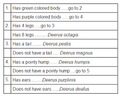 Lesson 146(*) use this dichotomous key to identify a tree in your yard or neighborhood (or just use this tree.) you can go back. Dichotomous Keys Biology Notes For Igcse 2014