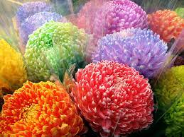 Contact ‎الشاعر أحمد عثمان‎ on messenger. Ø£Ù„Ø´Ø£Ø¹Ø± Ø£Ø­Ù…Ø¯ Ø¹Ø«Ù…Ø£Ù† Ø£Ù„Ø¬Ø±Ø£Ø±ÙŠ Ø¨Ù‚Ø£Ù„Ø© Ø£Ù„Ù…Ø²Ø±ÙˆØ¨ O U O O Uso O U UË†usu Ùƒ Øª Ø¨ Ø£ Ø­ Ù… Ø¯ Ø± Ø³ Ø§Ù„ Ø© Ahmad Napisal Pismo Contessa Patti