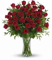 We did not find results for: Schultz Florists Send Flowers Plants Roses Funeral Online Chicago
