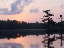 Roe/Rowe Family History