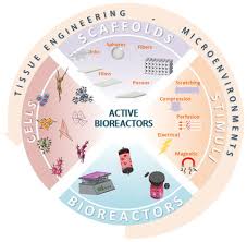 Tola associates specialize in the following taxation advisory, international taxation, corporate structuring, management consultancy and tax litigation. Physically Active Bioreactors For Tissue Engineering Applications Castro 2020 Advanced Biosystems Wiley Online Library