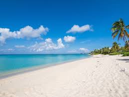 Good Morning! We have been to the island once for the day off of a cruise  and did the stingray tour with snorkeling. We are coming in late October  for a week